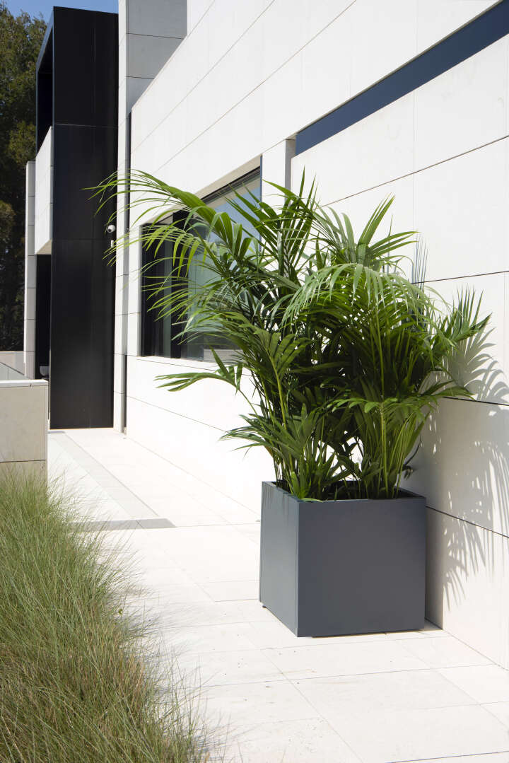 herstera Pflanzkübel Cube